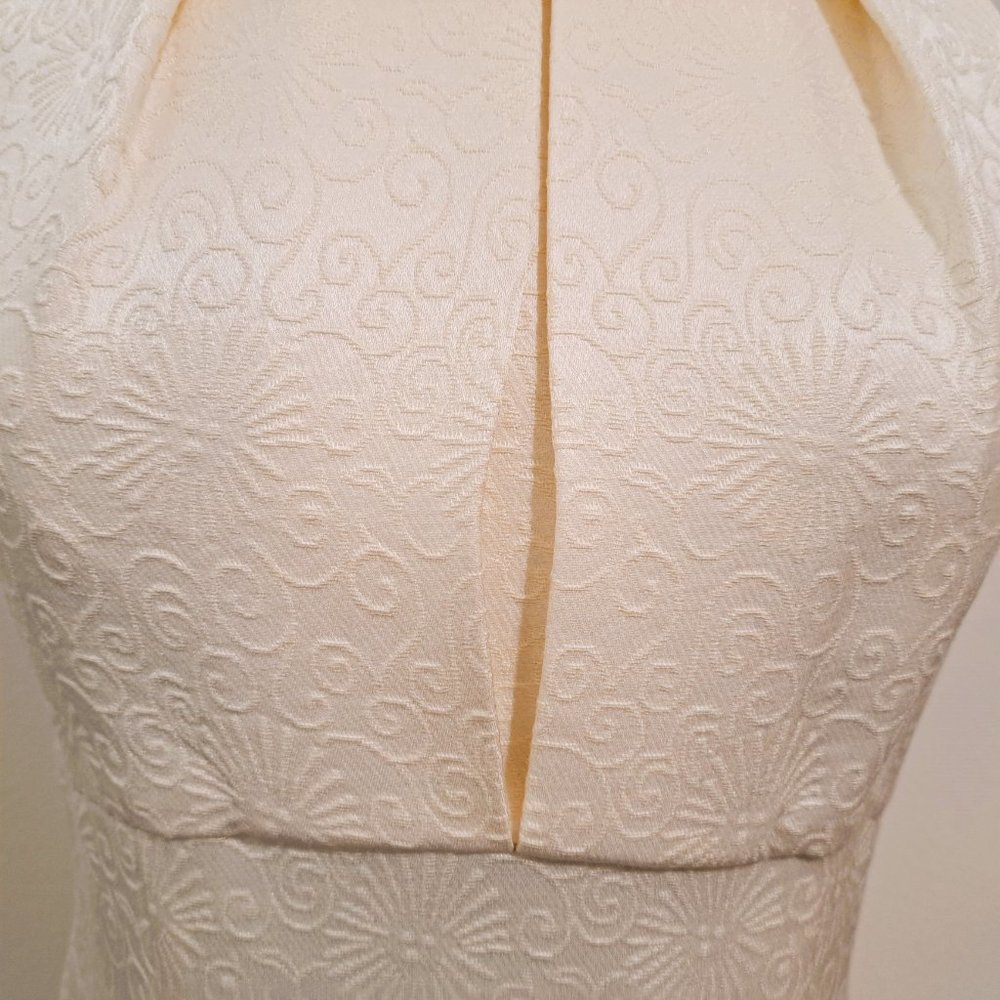 Taylor Embroidered Dress Sheath Style Sleeveless Cream Size 8 - Picture 6 of 13